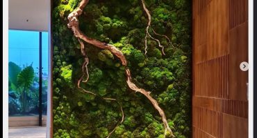 Preserved Moss Green Wall