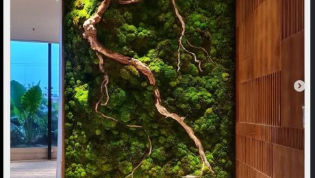 Preserved Moss Green Wall